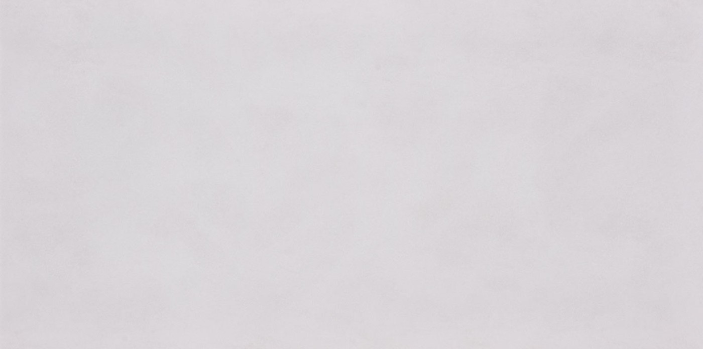 0600X1200 Stone Art-Açık Gri Fon Mat